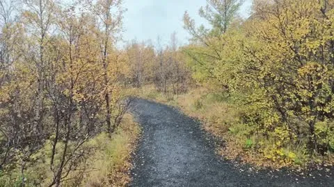 间歇泉
