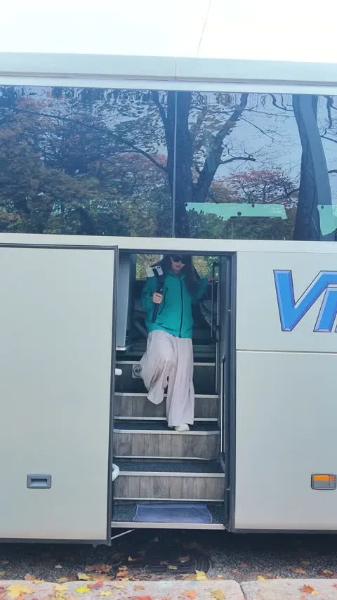 下车模仿明星出场