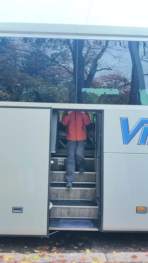 下车模仿明星出场