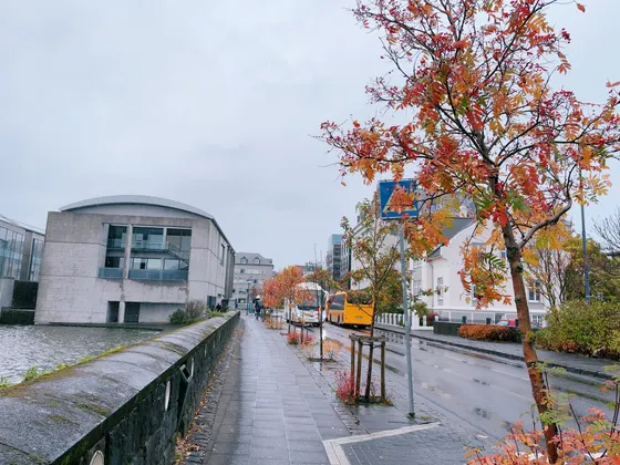 雷克雅未克