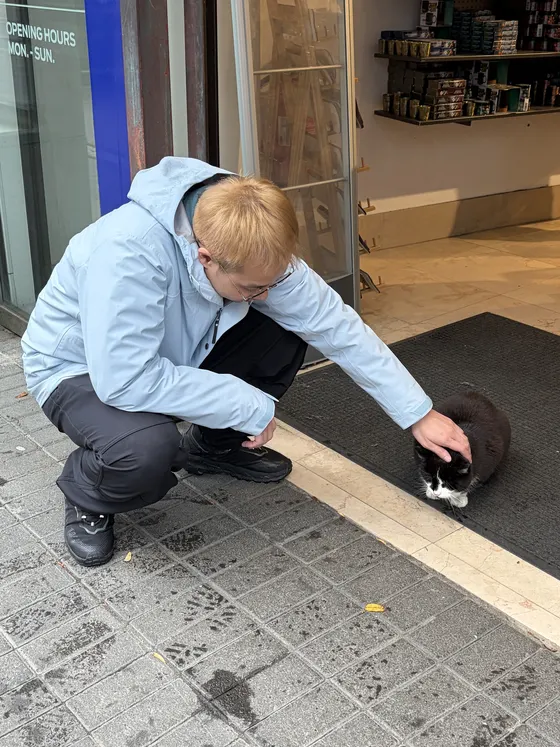 摸小猫