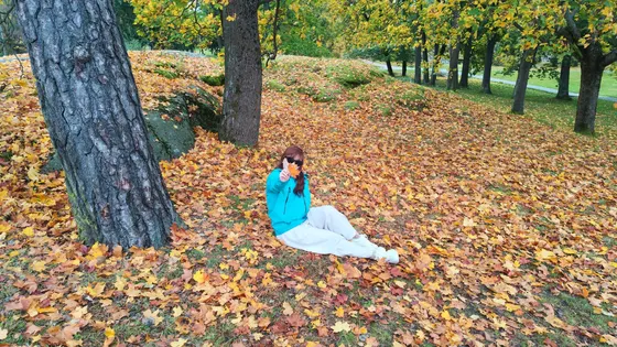 落叶合影